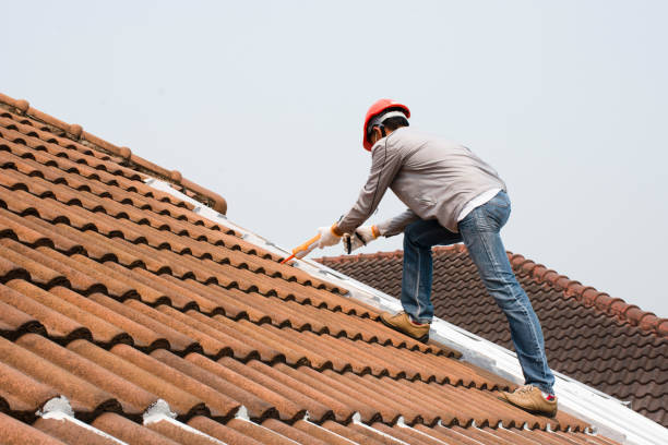 Best Roof Installation  in South Pasadena, CA